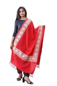 Amrit Trading Co. Kashmiri Embroidered Shawls for women