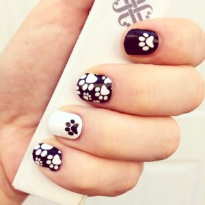 Paw Nails