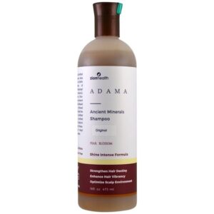 Ancient Health Minerals Shampoo