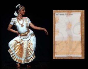 Bharatnatyam Bharatham Traditional costume