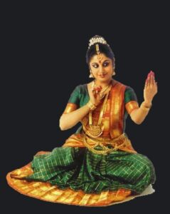 Bharatnatyam Saree Pattern Costume