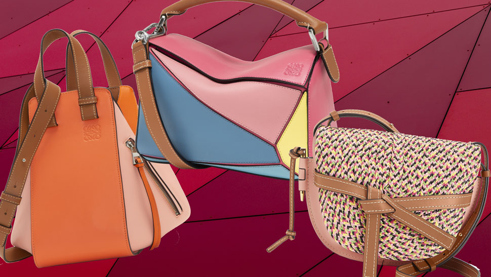 The Most Famous Loewe purses